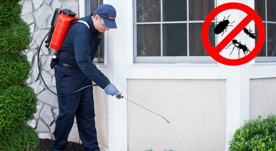 Köprüköy Kene İlaçlama böcek ilaçlama ve haşere kontrolü — ilaclama-tr.com